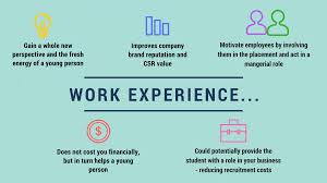 Work Experience